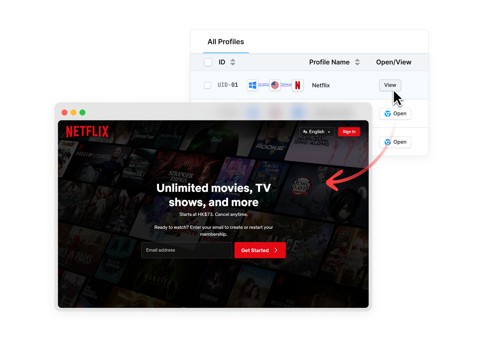 Access Blocked Websites on RoxyBrowser.png