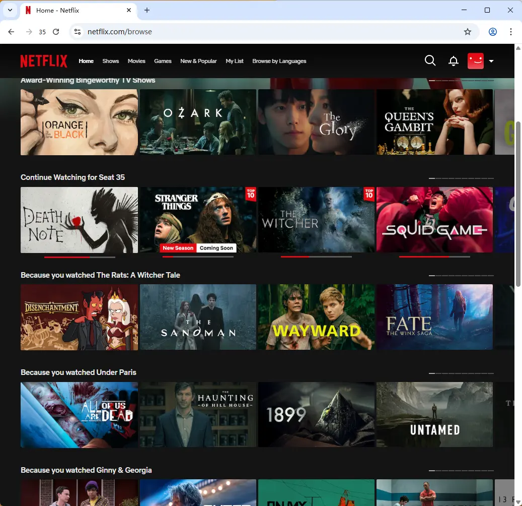 RoxyBrowser Netflix Space.webp