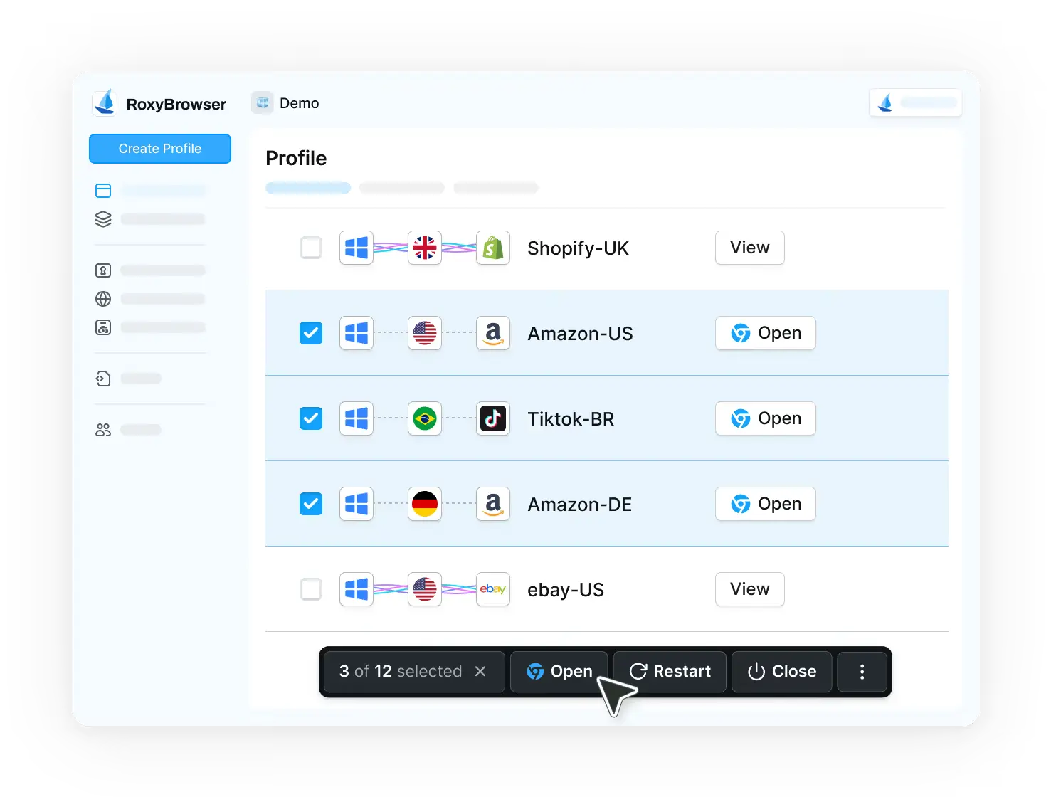 步骤三 打开Roxy browser并访问被封锁网站