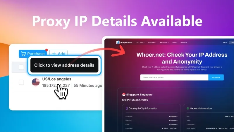 Detailed proxy IP information panel in RoxyBrowser