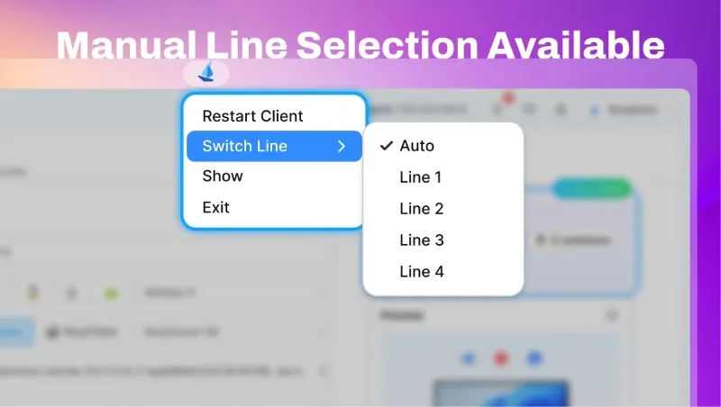 Manual network line switching in RoxyBrowser client