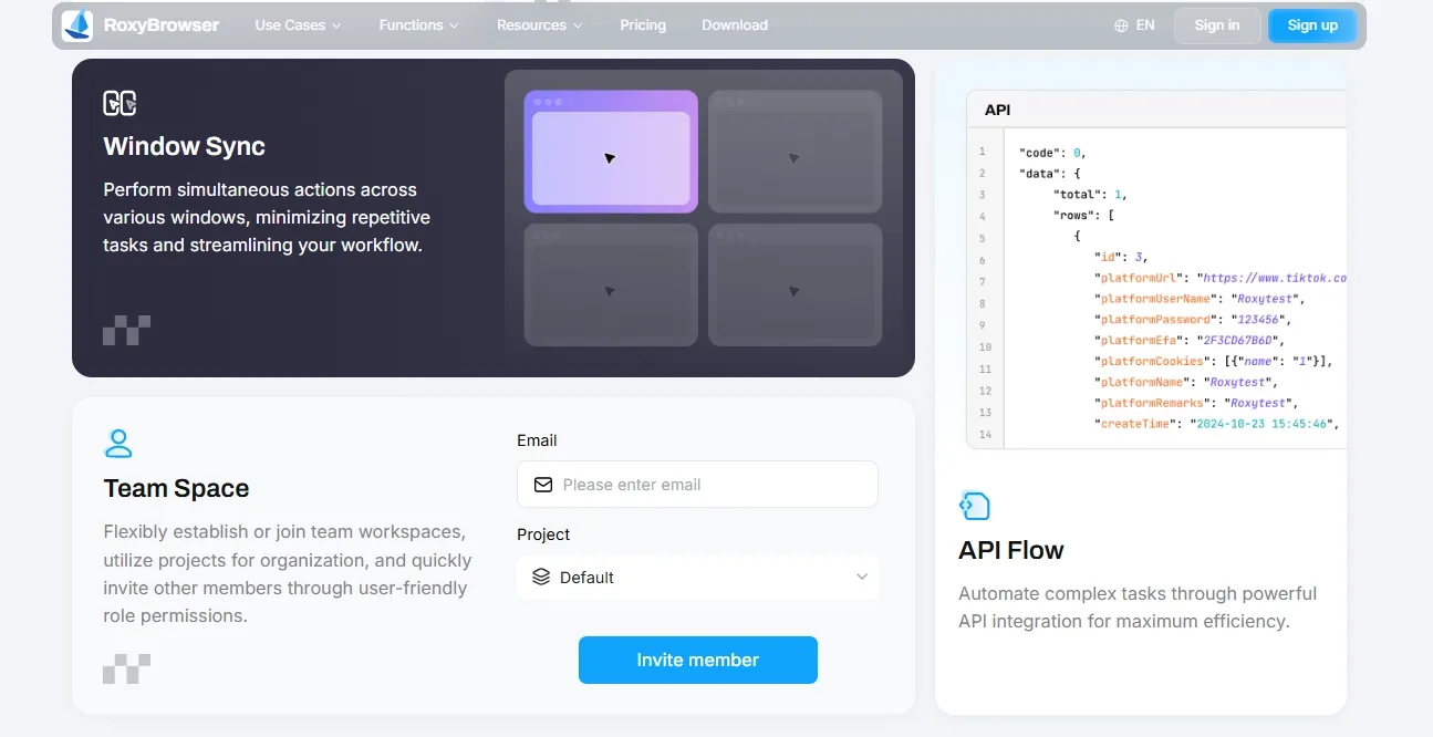 Screenshot of RoxyBrowser showing Window Sync, API Flow, and team workspace
