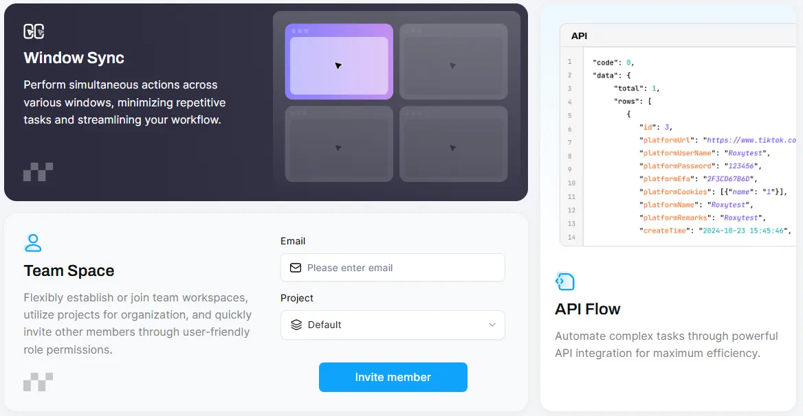 RoxyBrowser's Key Features.webp