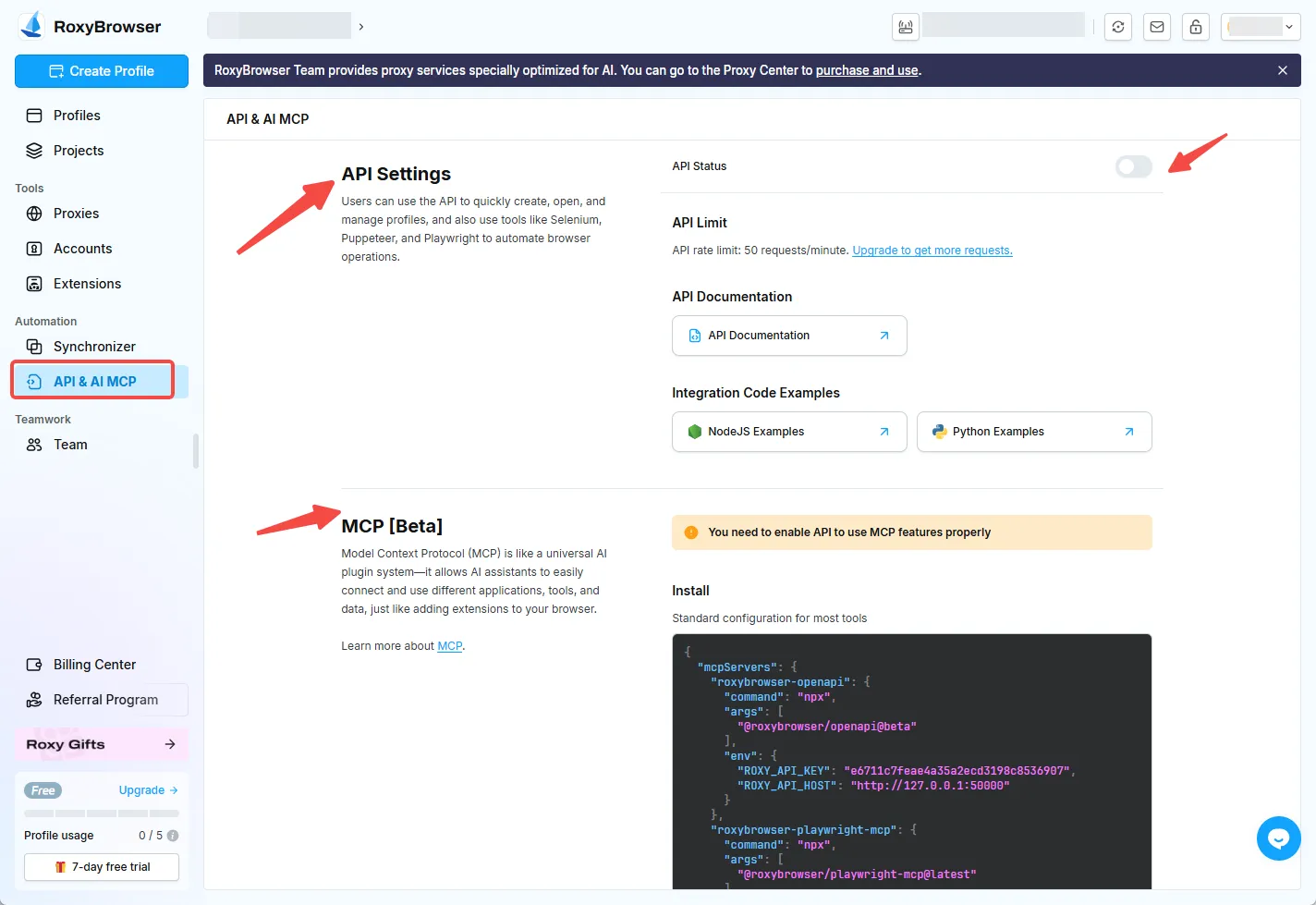 RoxyBrowser API and MCP.webp