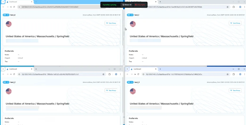 RoxyBrowser Window Synchronizer.webp