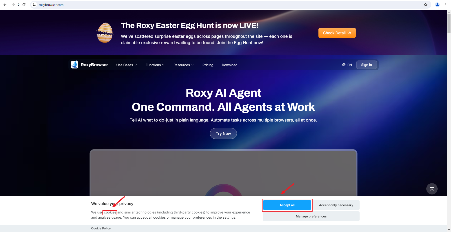 what are web cookies .png